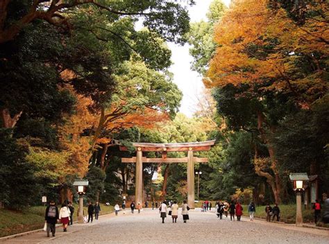 風水都市